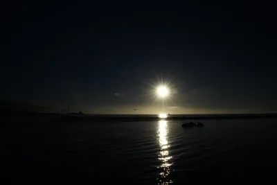 DSC_6563 (Large).JPG